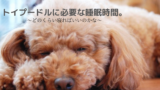 犬が膝の上で寝るのに理由があるのを知ってる 寝姿から分かる犬の気持ちについて トイプードルっていいな Com
