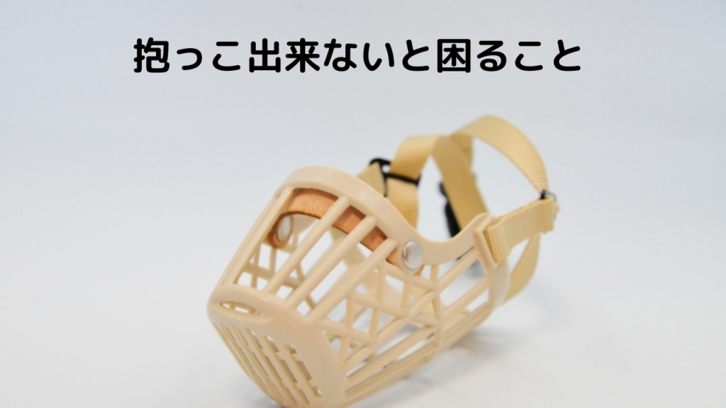 抱っこで唸るトイプードル 凶暴なわけじゃない 原因と対策 トイプードルっていいな Com